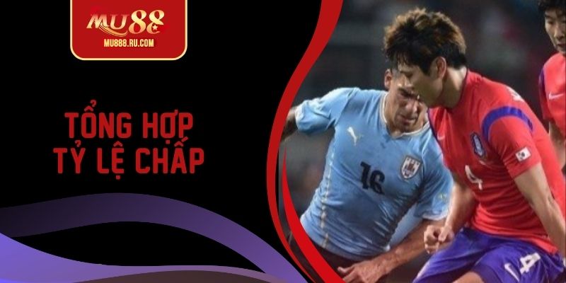 Tổng hợp những tỷ lệ chấp châu Á hấp dẫn