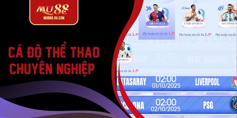 Cá độ thể thao chuyên nghiệp top 1 Châu Á