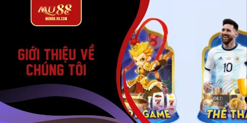 Giới thiệu thông tin liên quan về chúng tôi